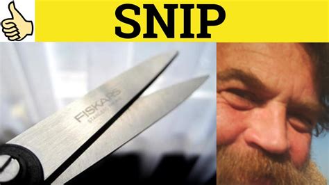 sinnpy|snippy meaning.